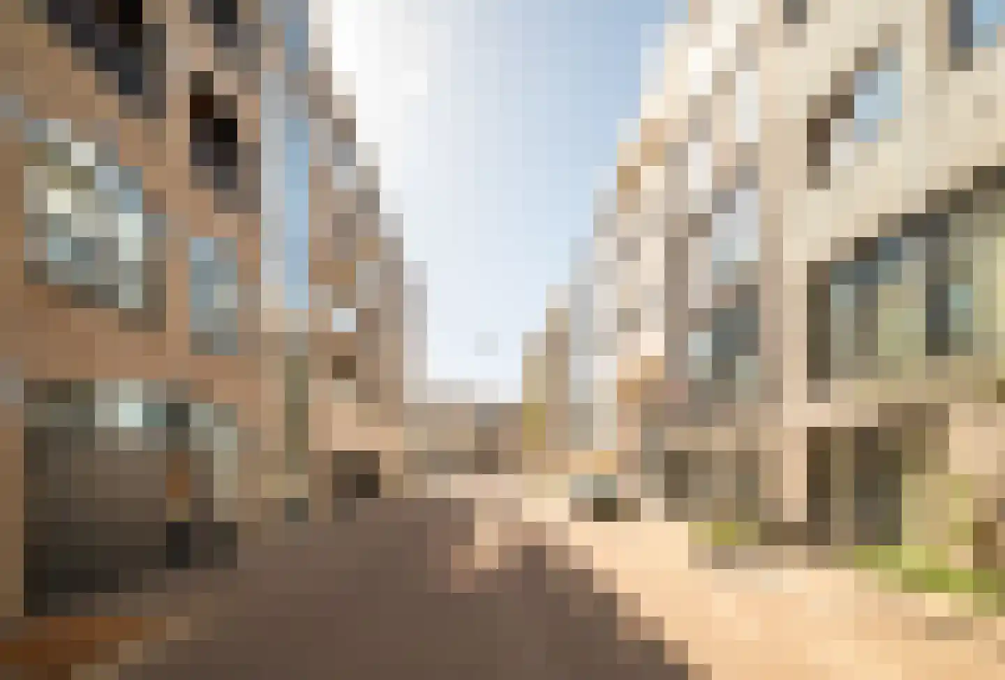 Camille Balystraat 9 D Amsterdam thumbnail 22