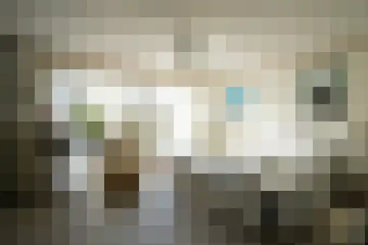 Camilluspark 26 Vaals thumbnail 10