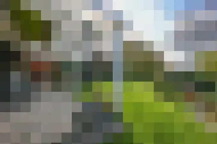 Camilluspark 26 Vaals thumbnail 21