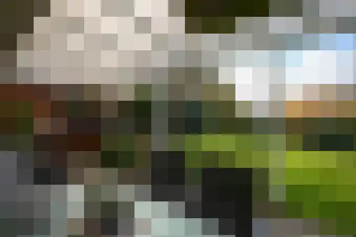 Camilluspark 26 Vaals thumbnail 22