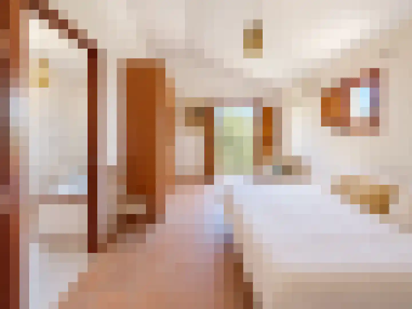 Camino Rio Seco 559 29711 ALCAUCIN Malaga, Spanje thumbnail 49