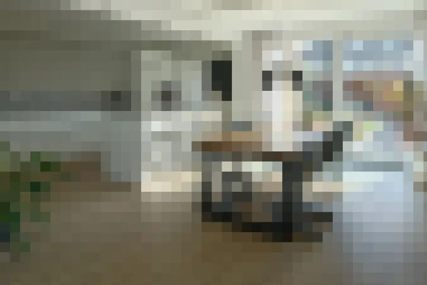 Cammingastraat 6 Franeker thumbnail 12