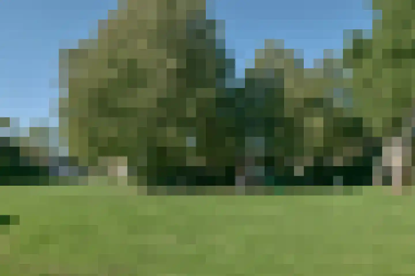 Cammingastraat 6 Franeker thumbnail 39