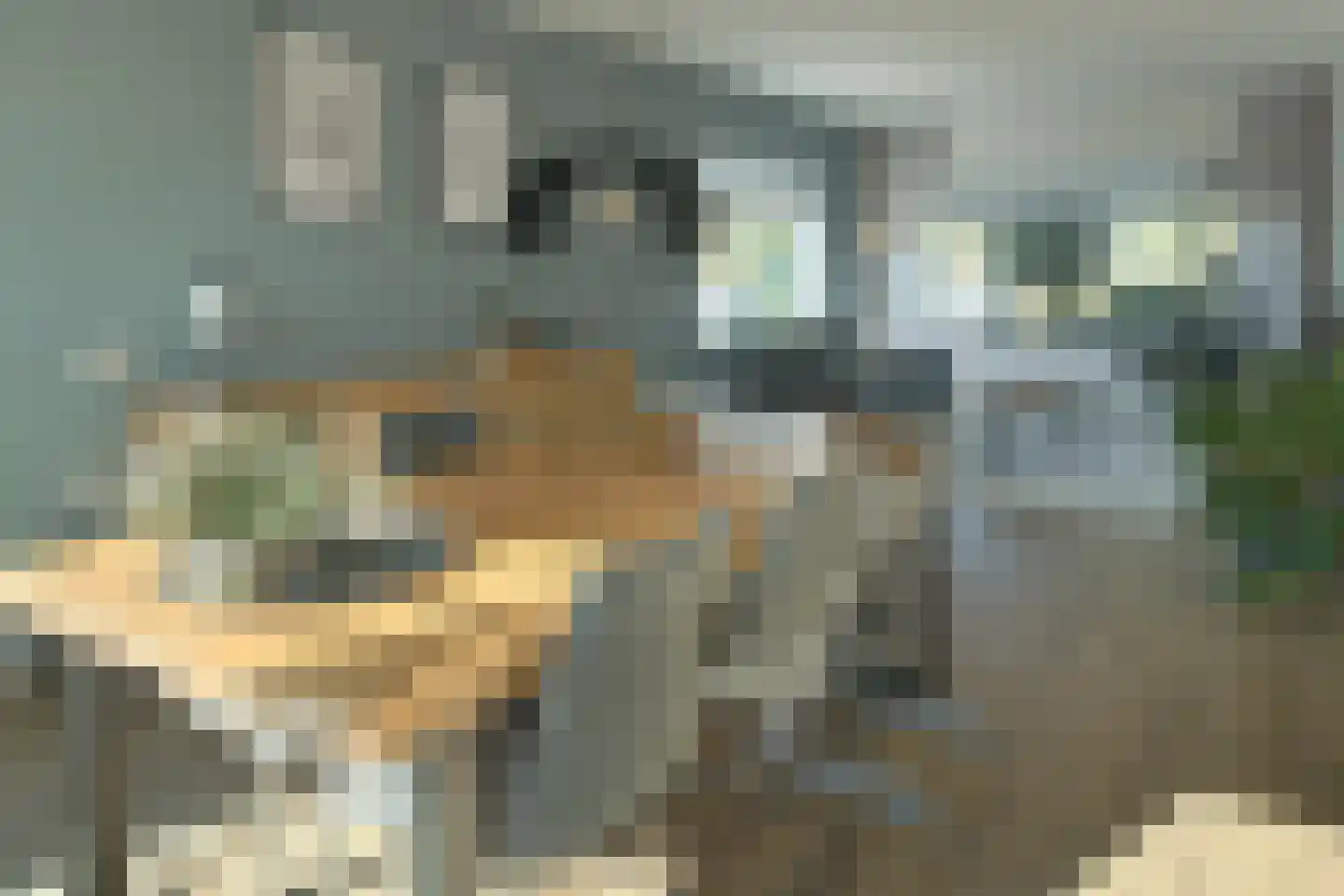 Cammingastraat 6 Franeker thumbnail 8