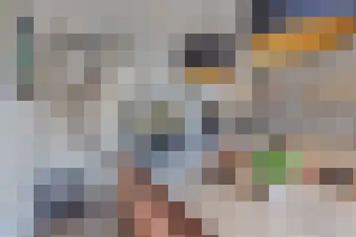 Cammingastraat 66 Franeker thumbnail 13