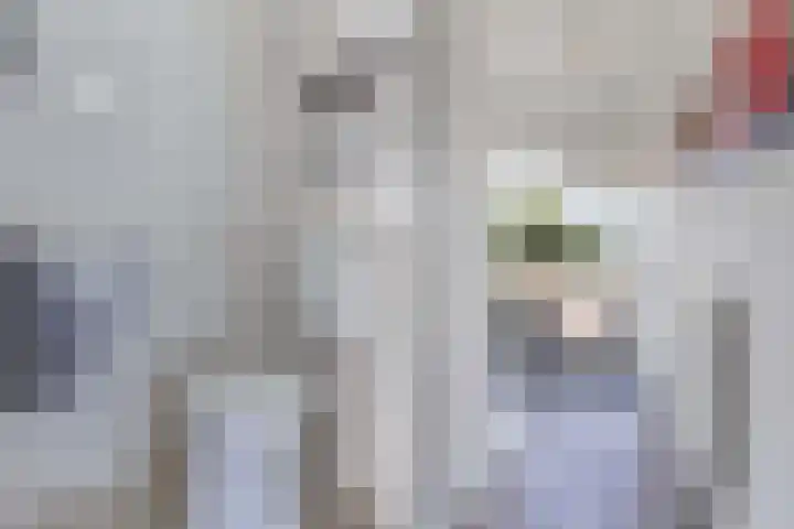 Cammingastraat 66 Franeker thumbnail 6