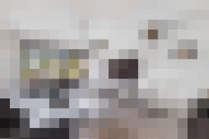 Cammingastraat 66 Franeker thumbnail 7