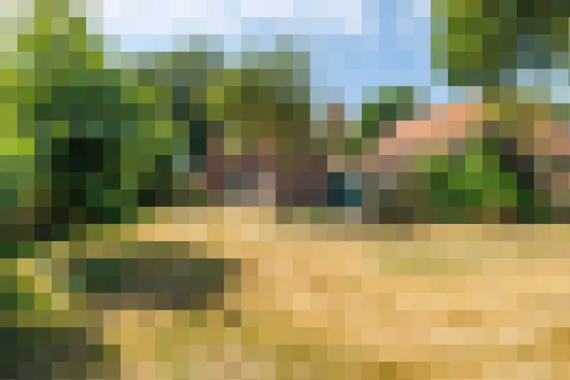 Camminghastraat 12 Ballum thumbnail 12