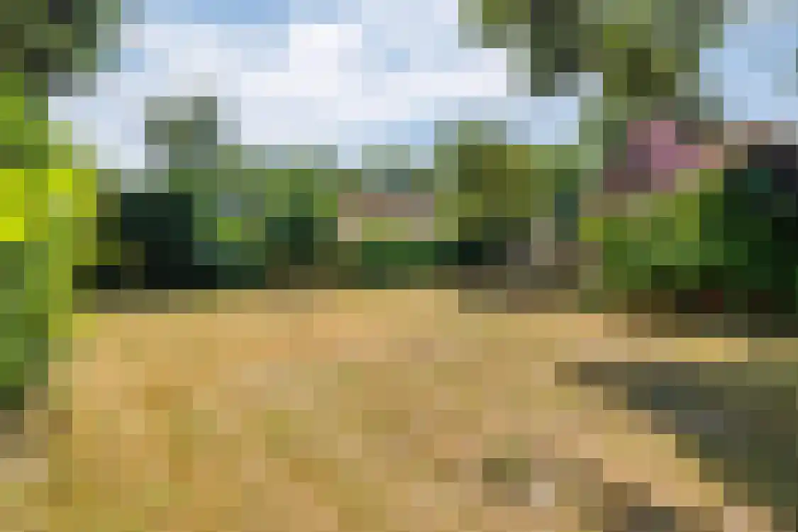 Camminghastraat 12 Ballum thumbnail 17