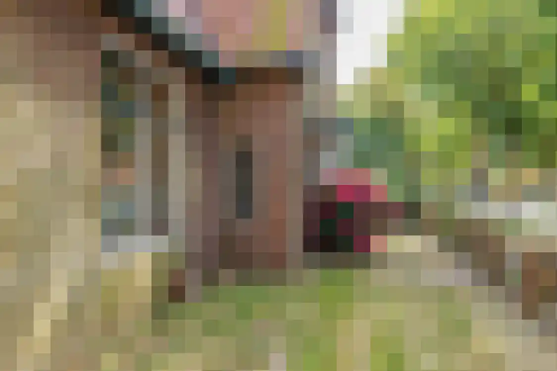Camminghastraat 12 Ballum thumbnail 7