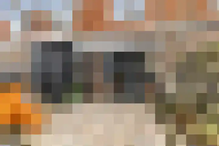 Camminghastraat 36 Leeuwarden thumbnail 22