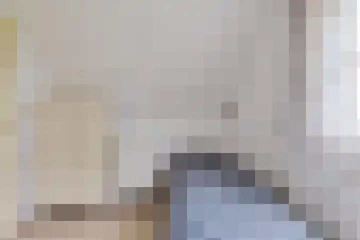Camminghastraat 43 a Ballum thumbnail 15