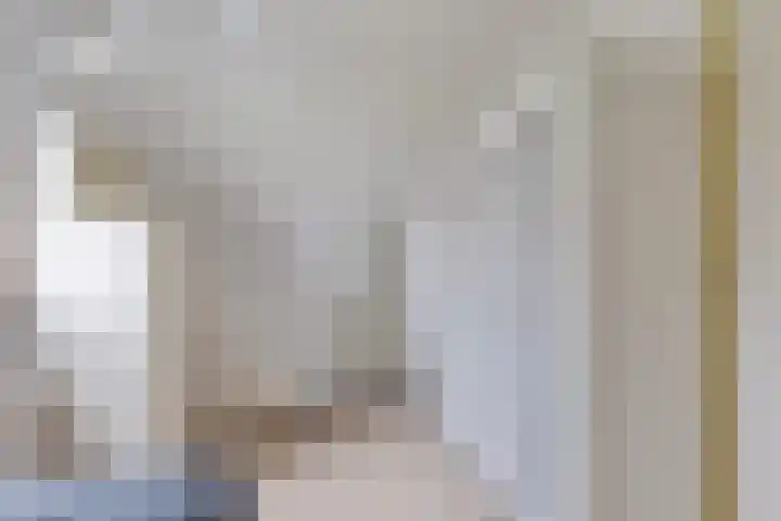 Camminghastraat 43 a Ballum thumbnail 16