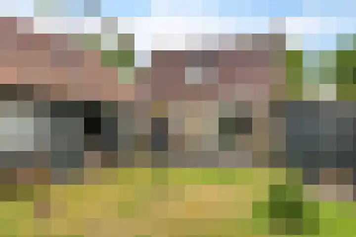 Camminghastraat 43 a Ballum thumbnail 20