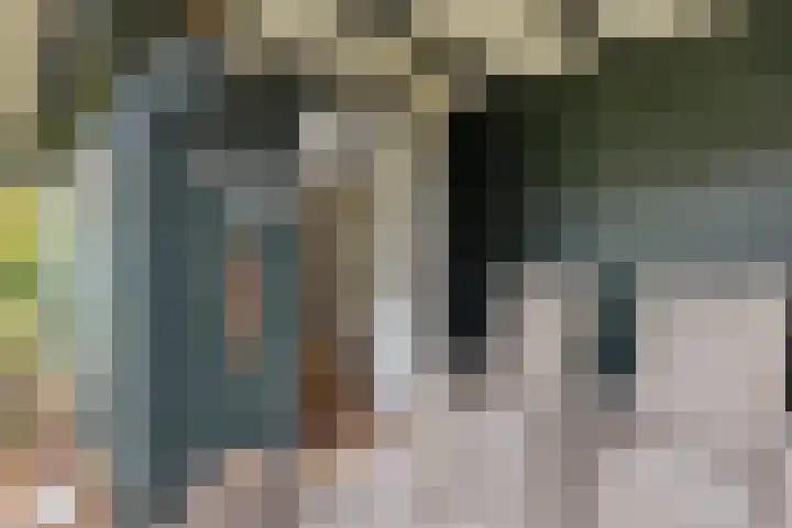 Camminghastraat 43 a Ballum thumbnail 23