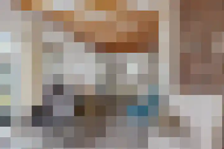 Camminghastraat 43 a Ballum thumbnail 6