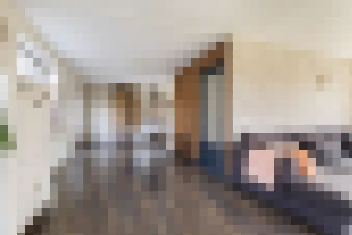 Camminghastrjitte 21 Ferwert thumbnail 11