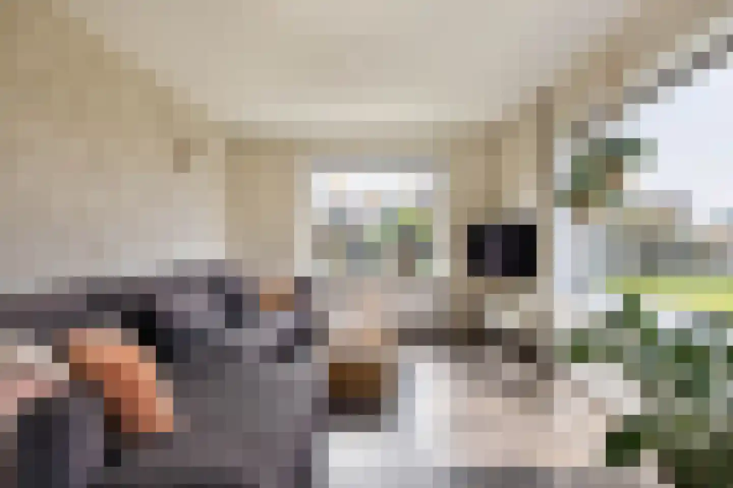 Camminghastrjitte 21 Ferwert thumbnail 13
