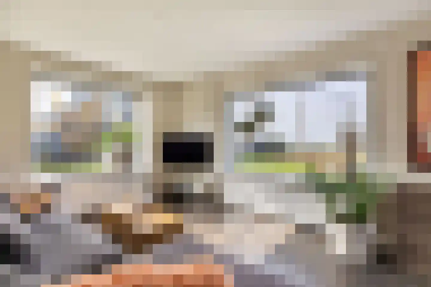 Camminghastrjitte 21 Ferwert thumbnail 14