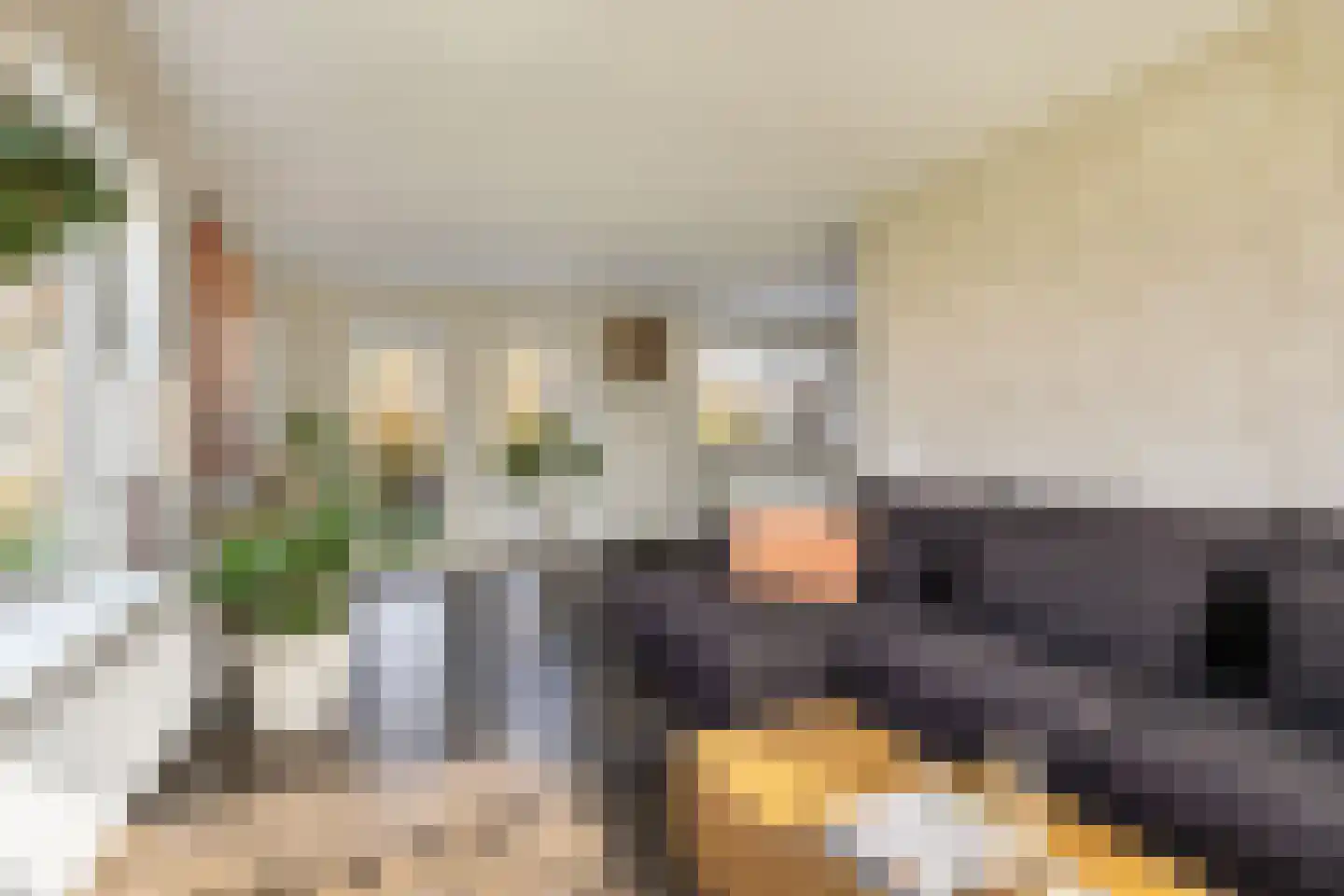 Camminghastrjitte 21 Ferwert thumbnail 15
