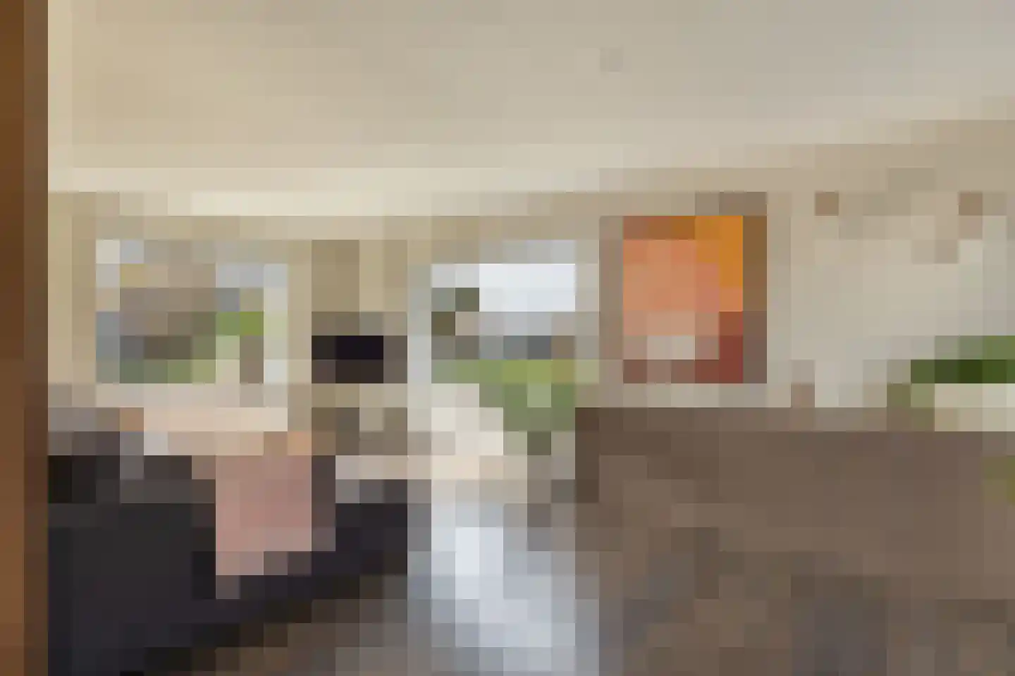 Camminghastrjitte 21 Ferwert thumbnail 16