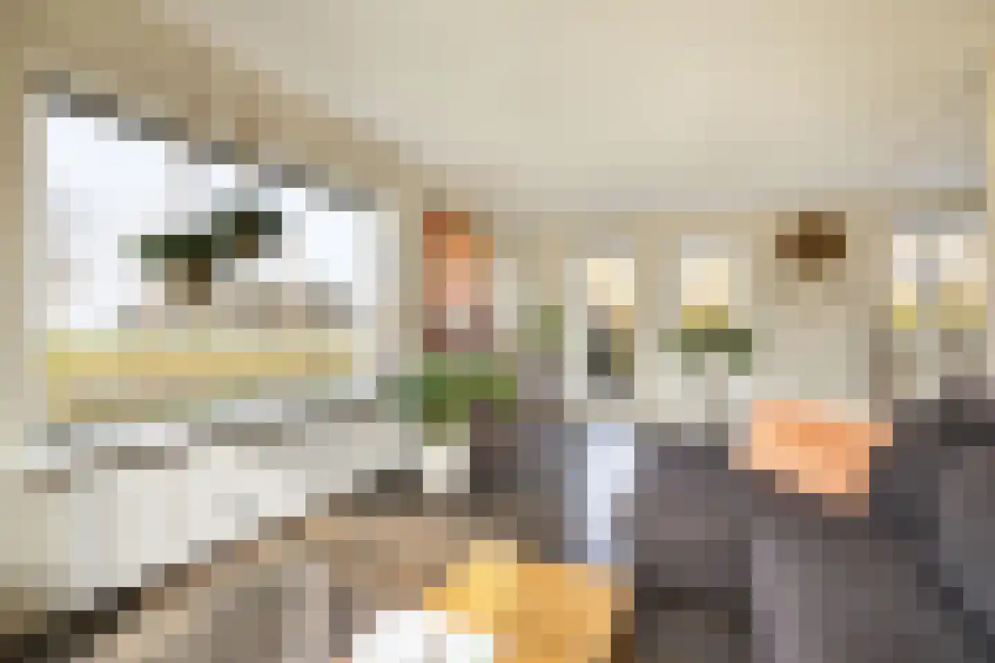 Camminghastrjitte 21 Ferwert thumbnail 17