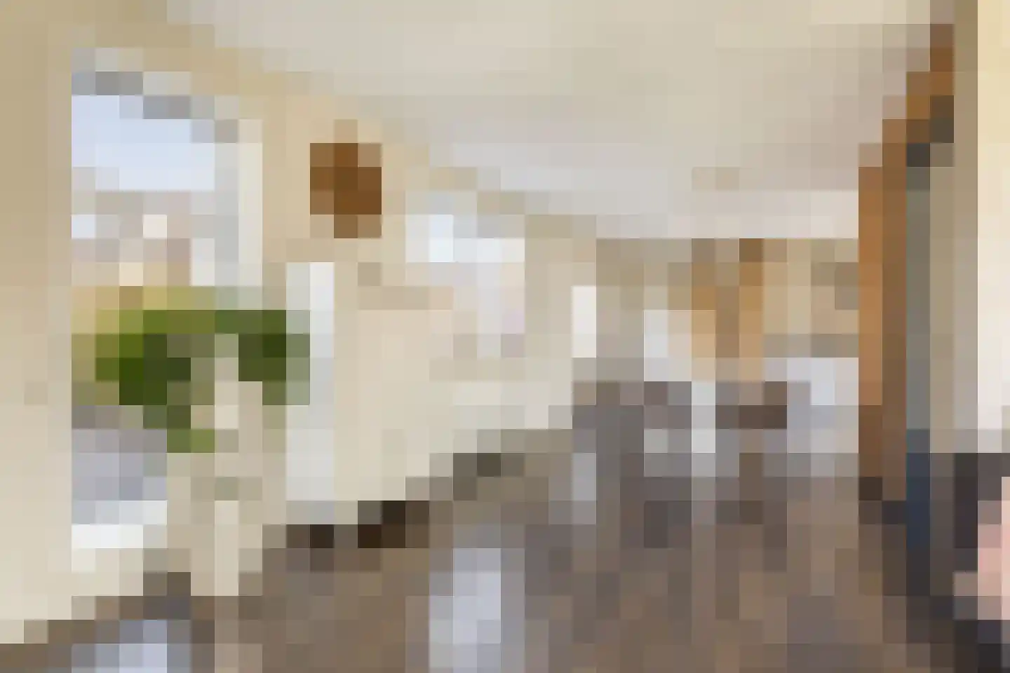 Camminghastrjitte 21 Ferwert thumbnail 18