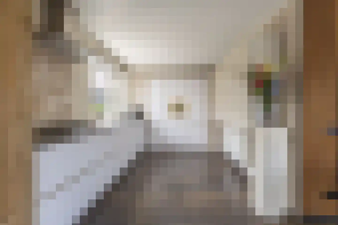 Camminghastrjitte 21 Ferwert thumbnail 22