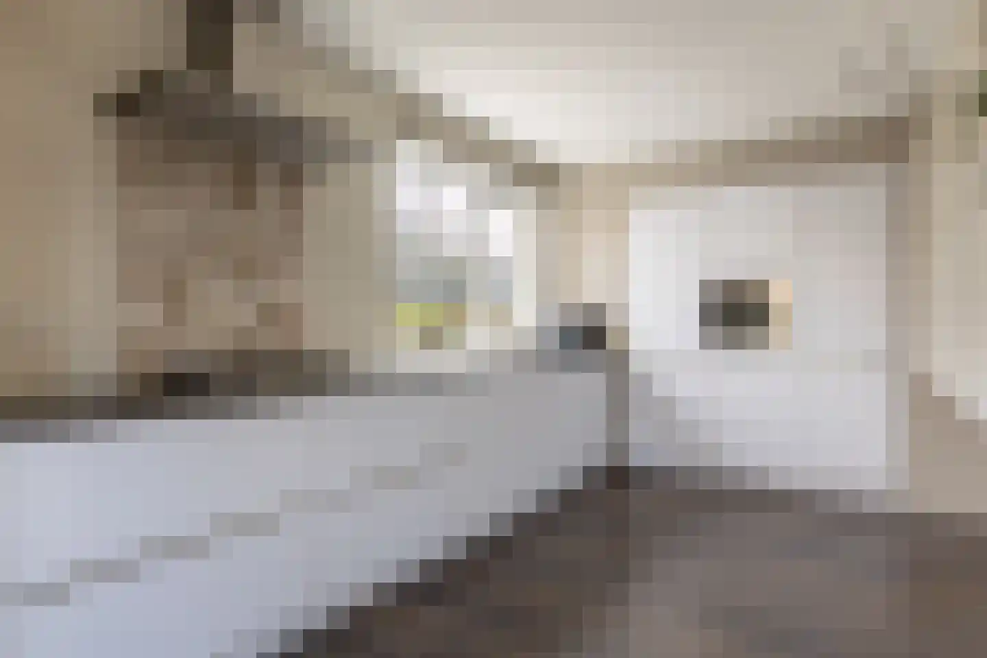 Camminghastrjitte 21 Ferwert thumbnail 23