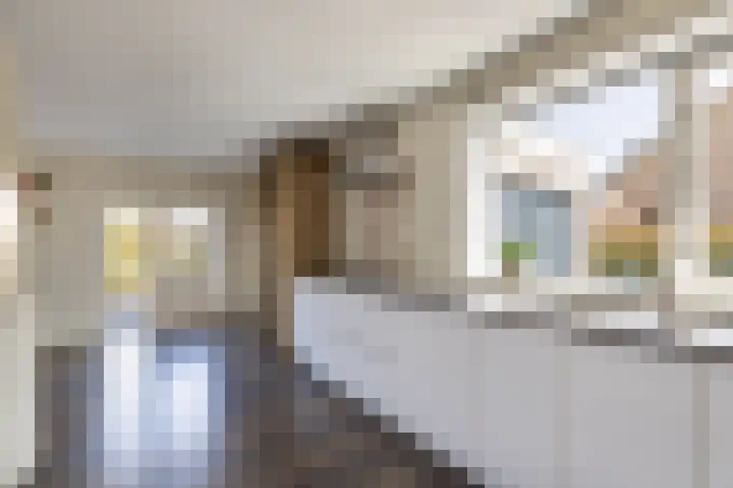 Camminghastrjitte 21 Ferwert thumbnail 25