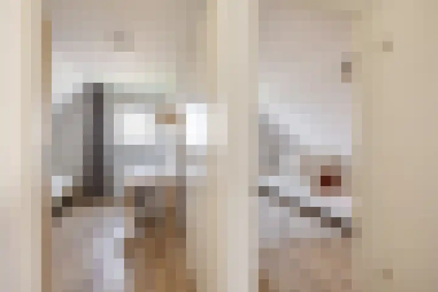 Camminghastrjitte 21 Ferwert thumbnail 27