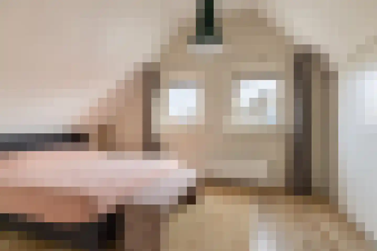 Camminghastrjitte 21 Ferwert thumbnail 29