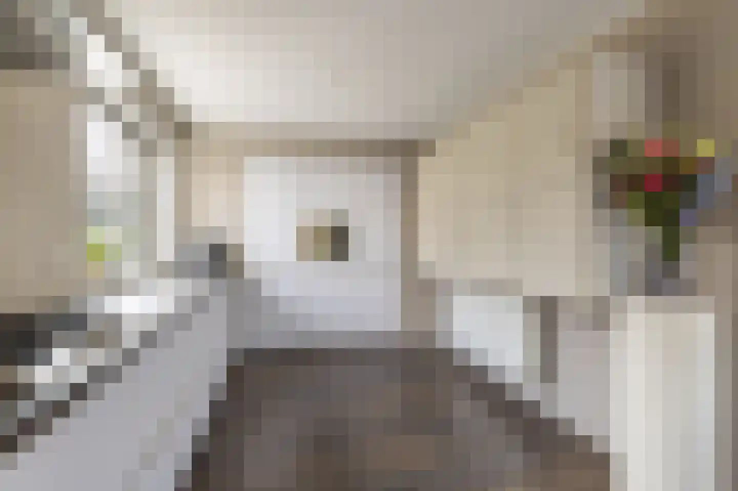 Camminghastrjitte 21 Ferwert foto 3