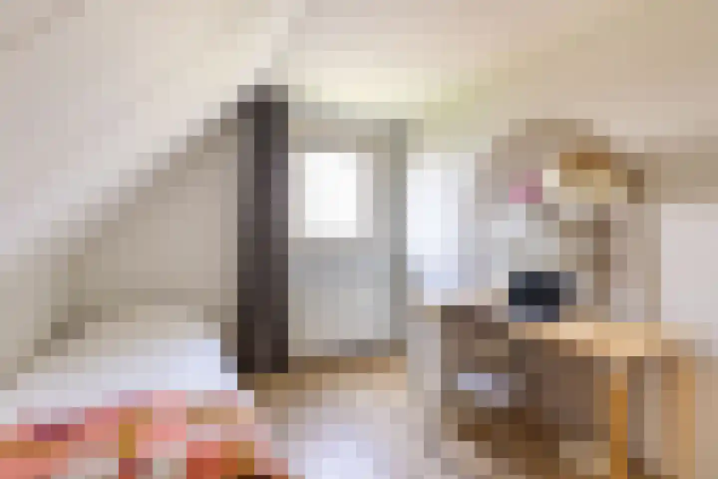 Camminghastrjitte 21 Ferwert thumbnail 33