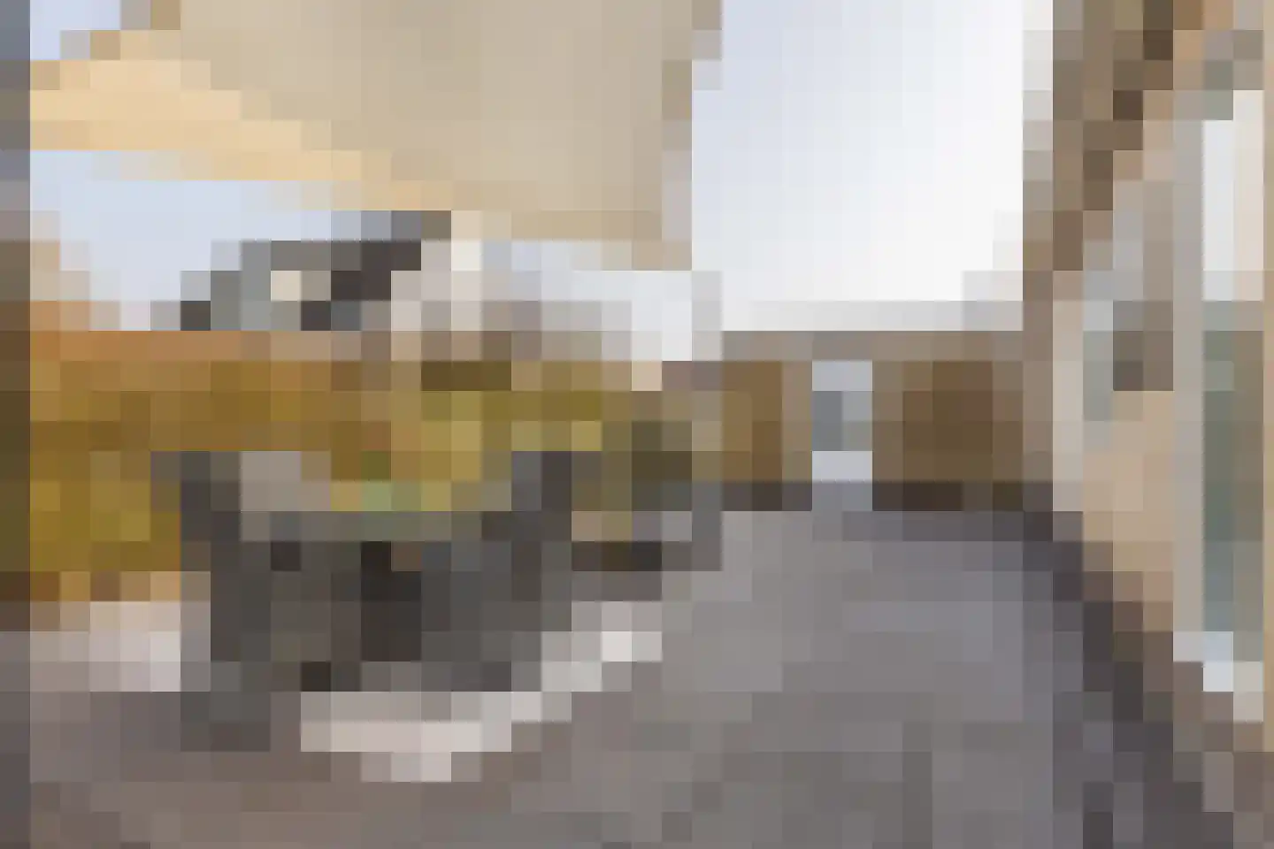 Camminghastrjitte 21 Ferwert thumbnail 56
