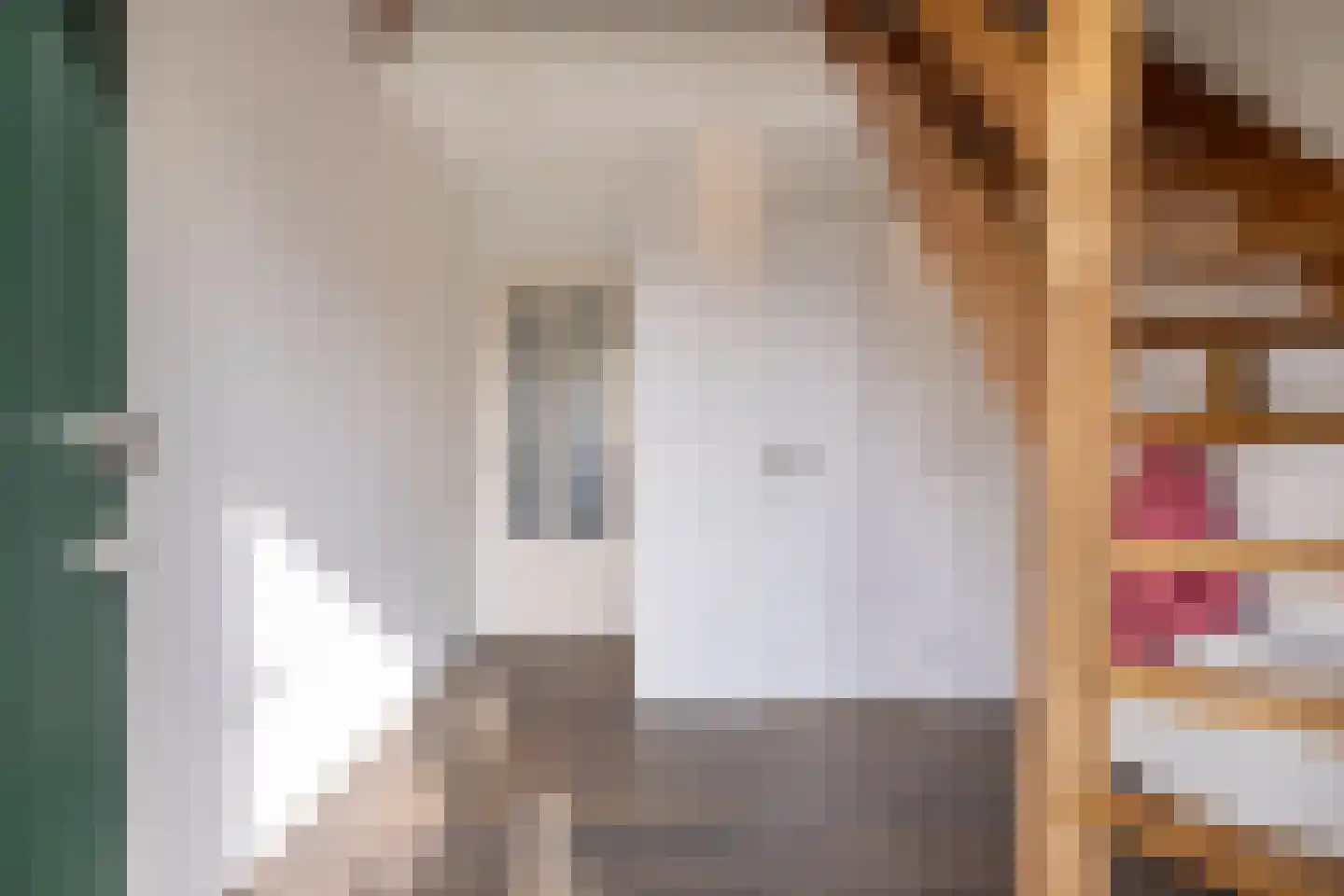 Camminghastrjitte 21 Ferwert thumbnail 7