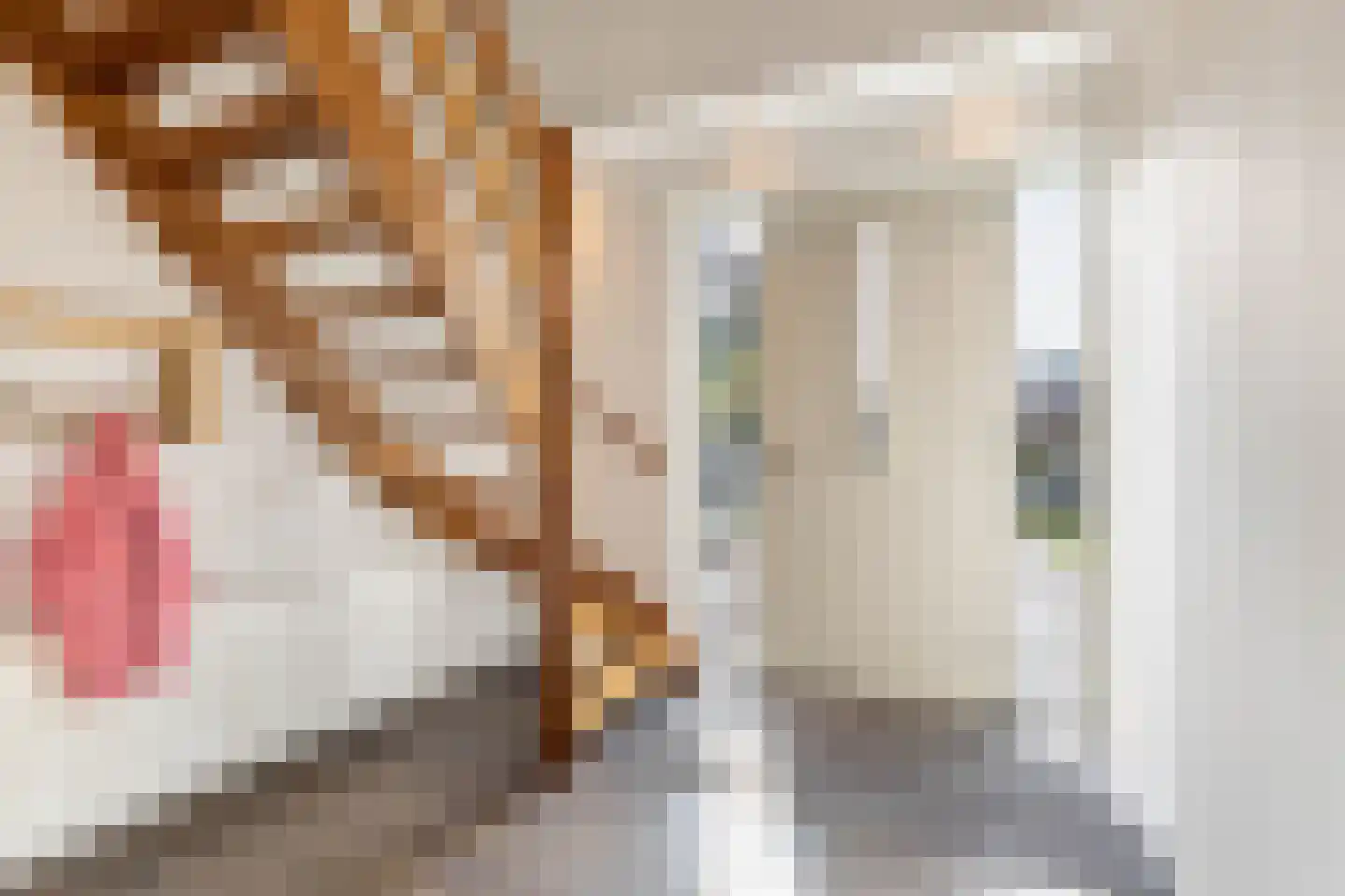 Camminghastrjitte 21 Ferwert thumbnail 8