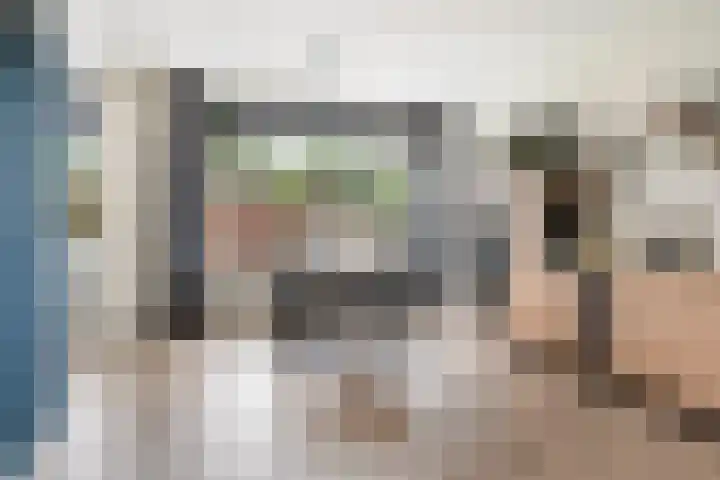 Camminghastrjitte 52 Ferwert thumbnail 10