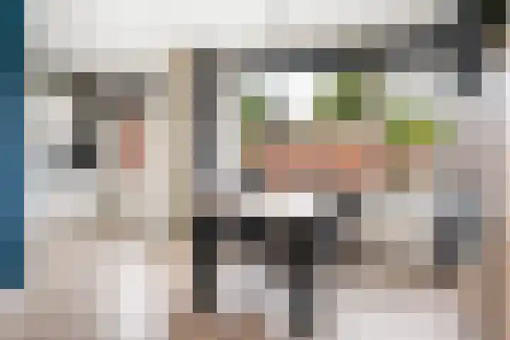 Camminghastrjitte 52 Ferwert thumbnail 11