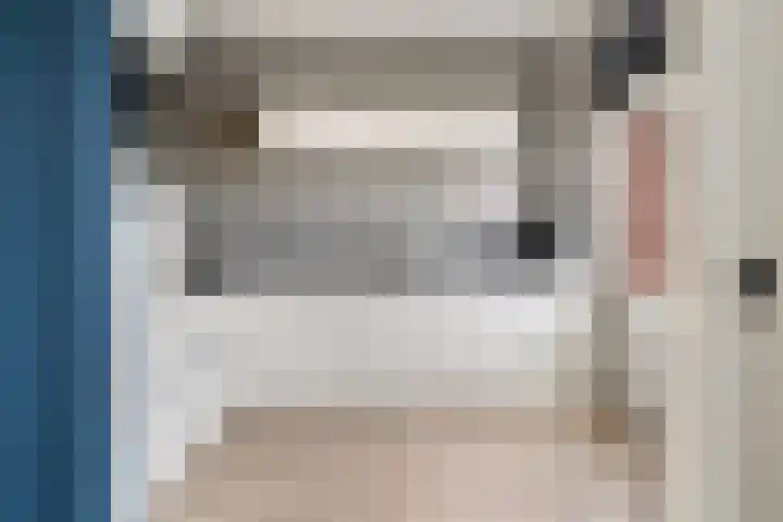Camminghastrjitte 52 Ferwert thumbnail 12