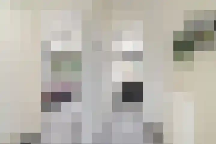 Camminghastrjitte 52 Ferwert thumbnail 14