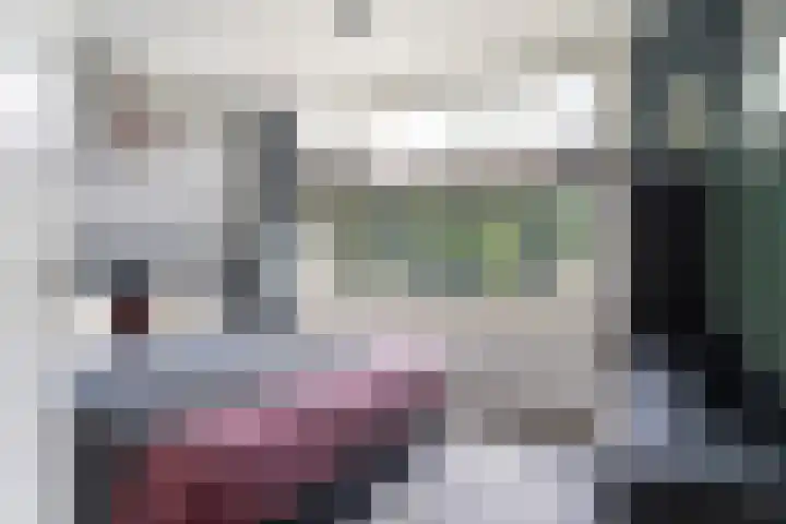 Camminghastrjitte 52 Ferwert thumbnail 15