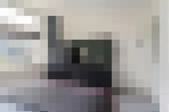 Camminghastrjitte 52 Ferwert thumbnail 16