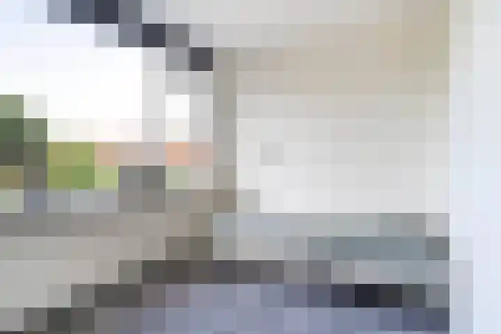 Camminghastrjitte 52 Ferwert thumbnail 17