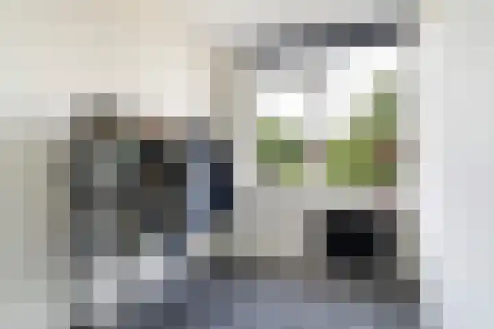 Camminghastrjitte 52 Ferwert thumbnail 18