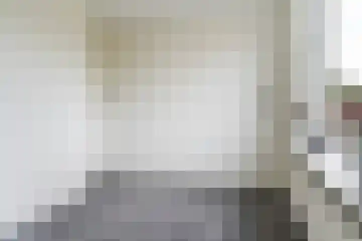 Camminghastrjitte 52 Ferwert thumbnail 21