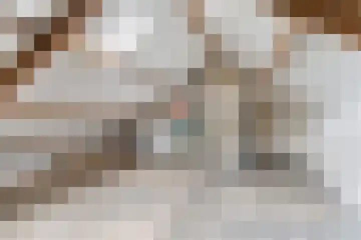 Camminghastrjitte 52 Ferwert thumbnail 24