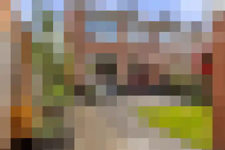 Camminghastrjitte 52 Ferwert thumbnail 25