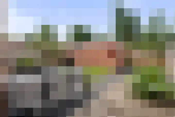 Camminghastrjitte 52 Ferwert thumbnail 27