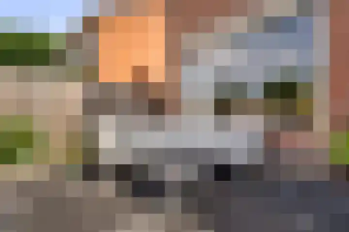 Camminghastrjitte 52 Ferwert thumbnail 28